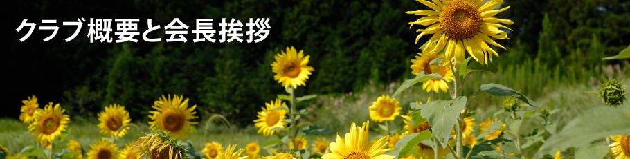 神楽